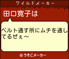 田口寛子は ベルト通す所にムチを通してるぜぇ