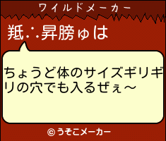 羝∴昇膀ゅのワイルドメーカー結果