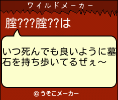 腟???腟??のワイルドメーカー結果