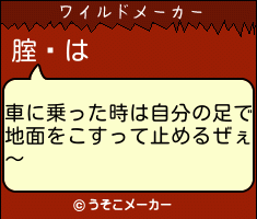 腟鏅のワイルドメーカー結果