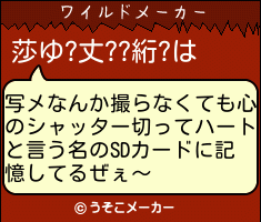 莎ゆ?丈??絎?のワイルドメーカー結果
