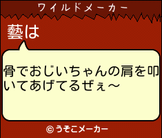 藝のワイルドメーカー結果